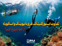 تفاوت اسنورکلینگ، فری‌دایوینگ و اسکوبا؛ از کجا شروع کنم؟