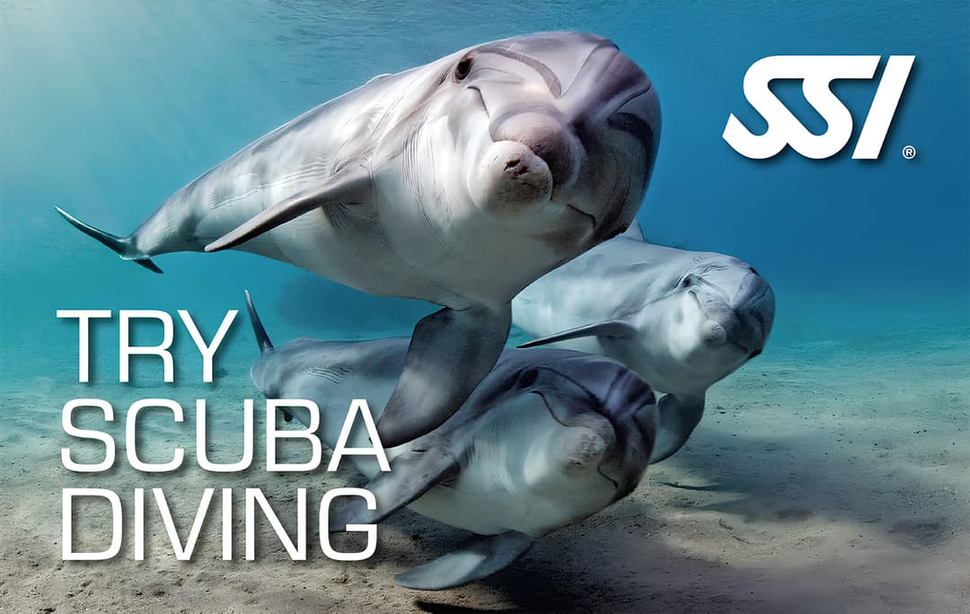 Try Scuba